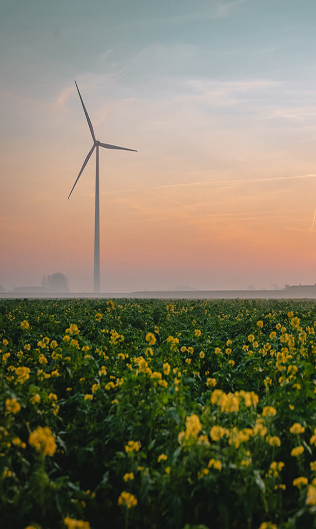 Duurzaamheid en klimaattransitie